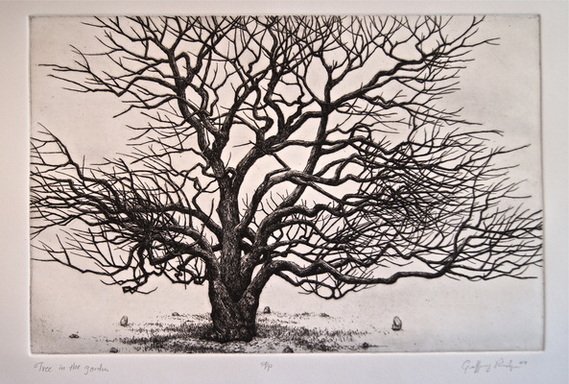 Tree in the Garden - intaglio etching and engraving